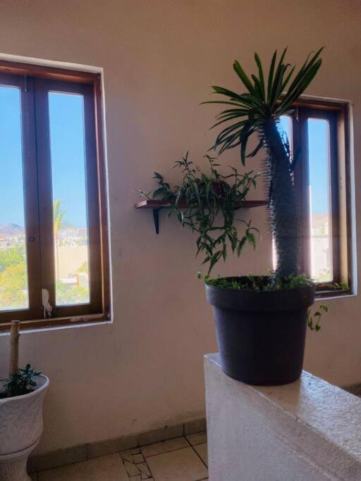 Casa Bahia 2 Blocks Malecon Amaizing Ocean View Apartamento La Paz Exterior foto